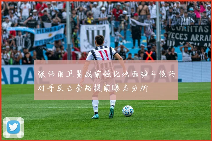 张伟丽卫冕战前强化地面缠斗技巧对手反击套路提前曝光分析