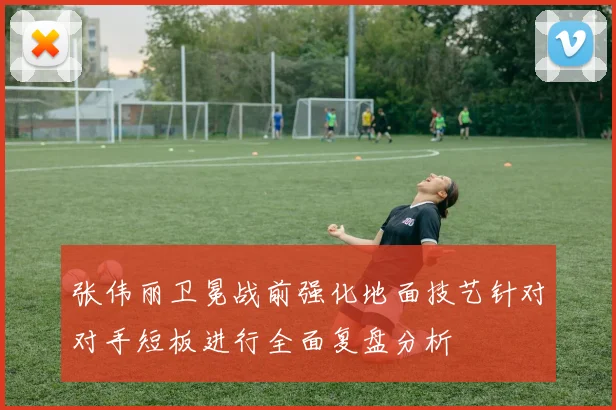 张伟丽卫冕战前强化地面技艺针对对手短板进行全面复盘分析